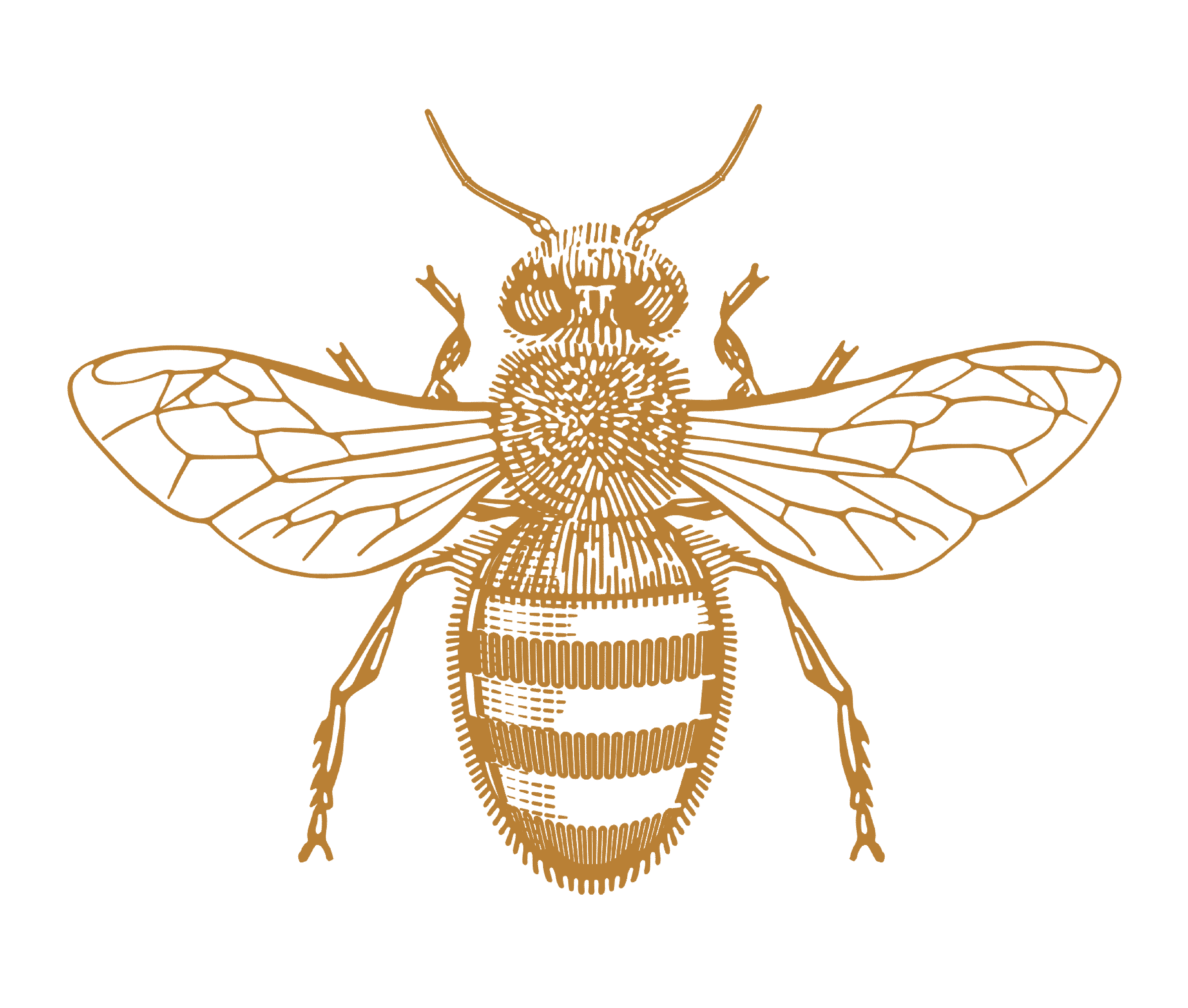 Jilyara of Wilyabrup, Margaret River logo